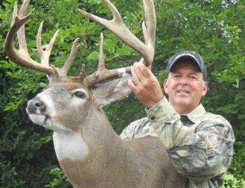 How to Choose the Best Taxidermist