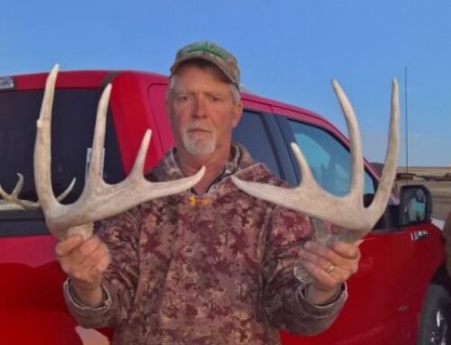 Shed Hunters Find Less Than 40% of Antlers