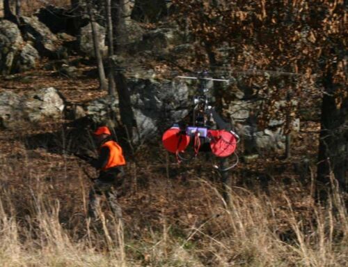 Track Deer w/Drones, Best States to Tag Two Deer and More News from Across Whitetail Nation