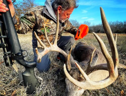 4 Great Stands for the Deep-South Deer Rut