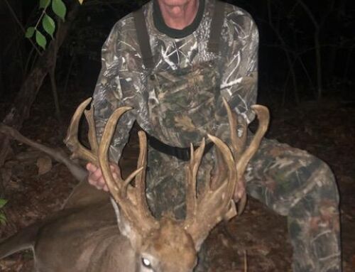 Giant Indiana Jestes Buck, 209 7/8 Inches NT