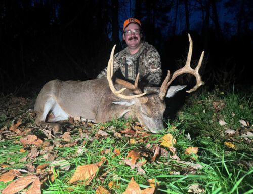 State of America’s Whitetail Buck Harvest